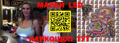 стаф Аргун